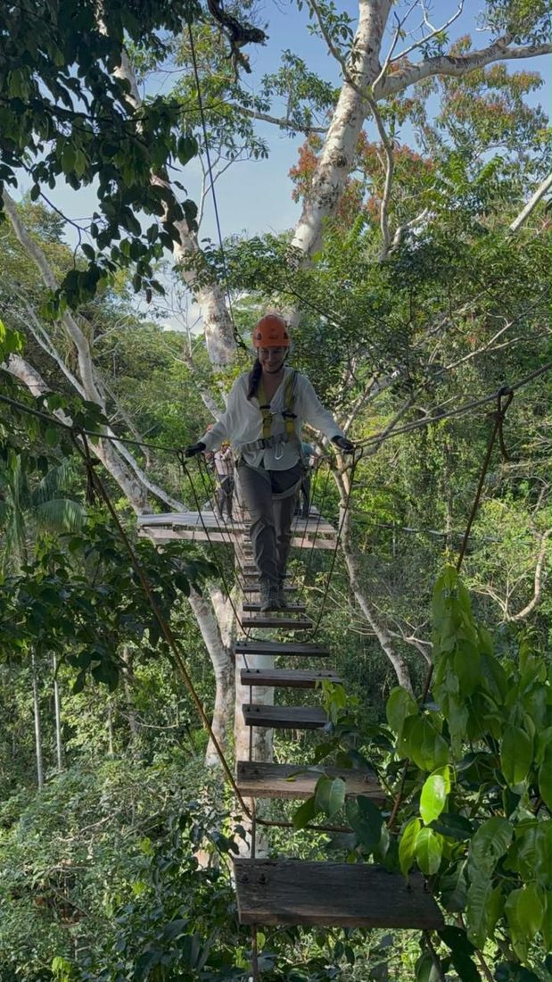 Escalada al dosel del bosque