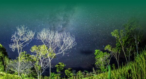 Cielo estrellado