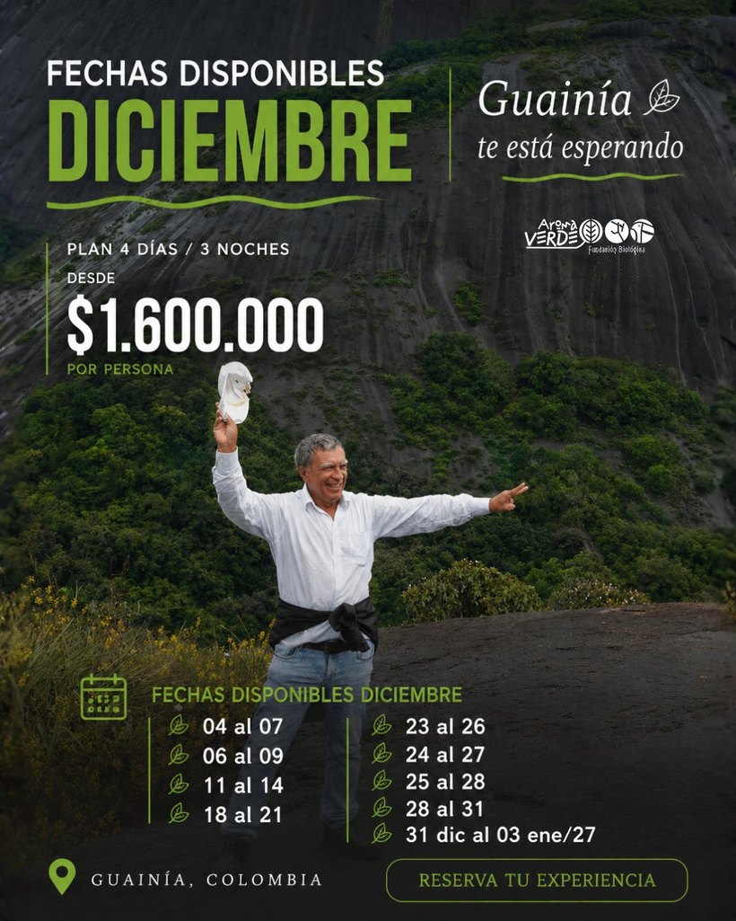Fechas disponibles diciembre