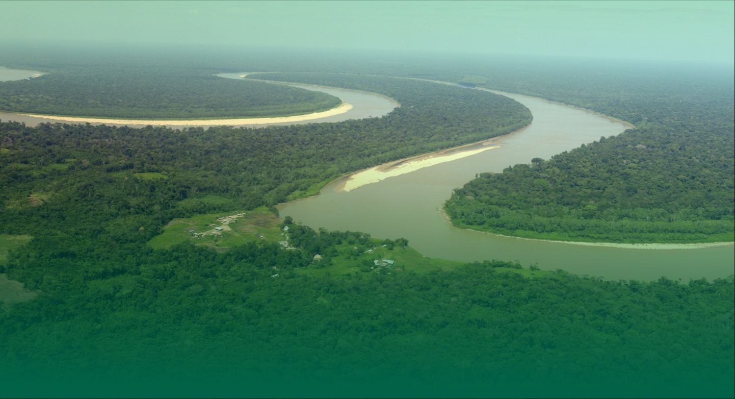 Vista aérea del río y la selva